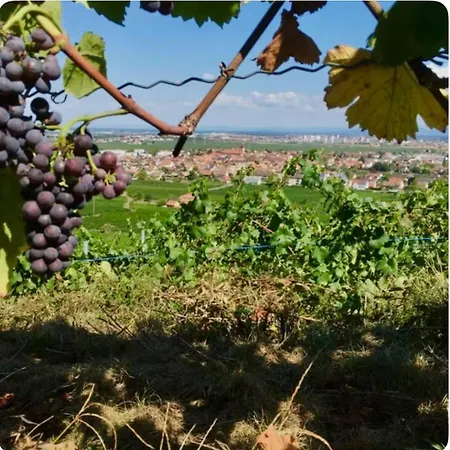Le Champ Des Reves - Terrasse - Parking Prive *
