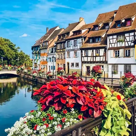 아파트 Le Champ Des Reves - Terrasse - Parking Prive 빈첸하임