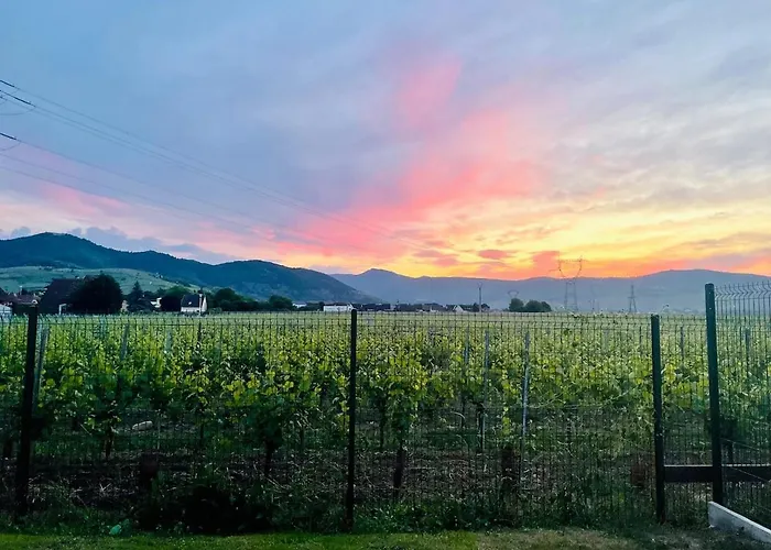 Le Champ Des Reves - Terrasse - Parking Prive Apartment *